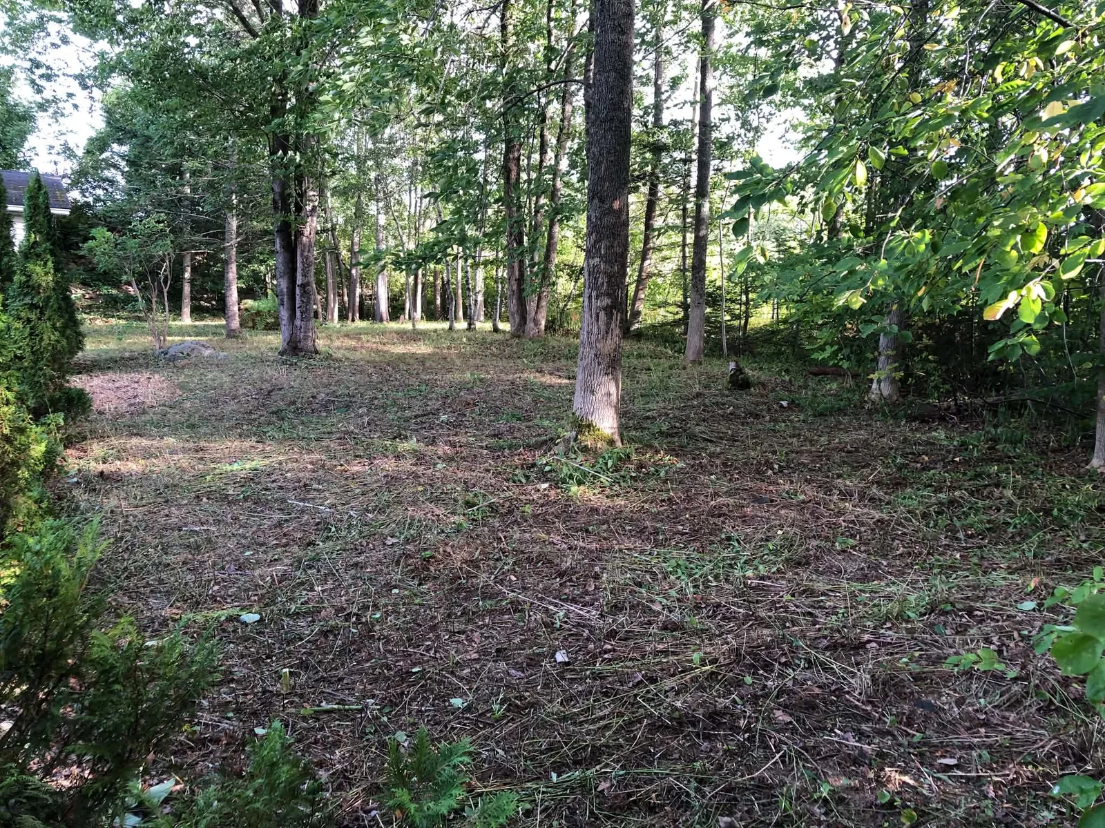 Property cleanups